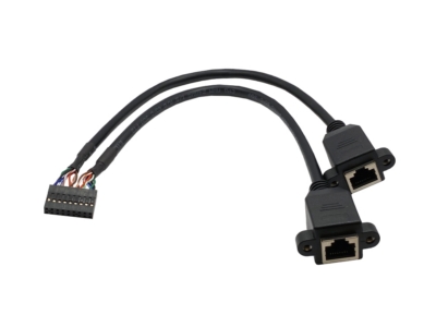 PHD2.0 2x9 Pin to 2x RJ45 8P8C Jack Cable